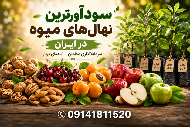 نهالهای میوه پربازده و اقتصادی در ایران؛ راهنمای انتخاب برای سرمایهگذاری باغی
