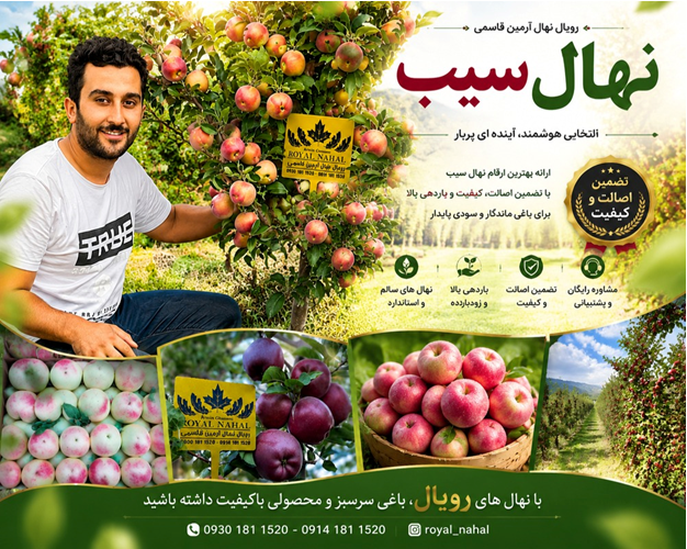 ‌نهال‌های میوه پربازده و اقتصادی در ایران؛ راهنمای انتخاب برای سرمایه‌گذاری باغی