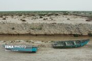 مدیریت واحد، شرط حل مسائل مشترک مرزی و محیط‌زیستی با افغانستان است