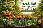 ‌نهال‌های میوه پربازده و اقتصادی در ایران؛ راهنمای انتخاب برای سرمایه‌گذاری باغی