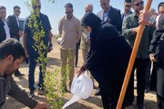 بازدید معاون رئیس‌ جمهور از پارک جنگلی زاهدان