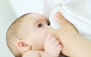 تغذیه انحصاری با شیر مادر، زیربنای بقای کودک 