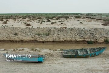 مدیریت واحد، شرط حل مسائل مشترک مرزی و محیط‌زیستی با افغانستان است