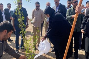بازدید معاون رئیس‌ جمهور از پارک جنگلی زاهدان