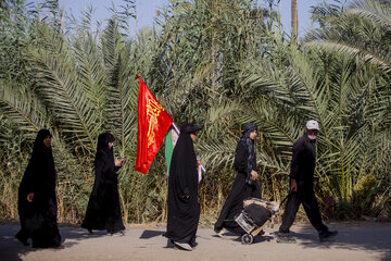 پیاده‌روی اربعین حسینی در مسیر «طریق العلما»