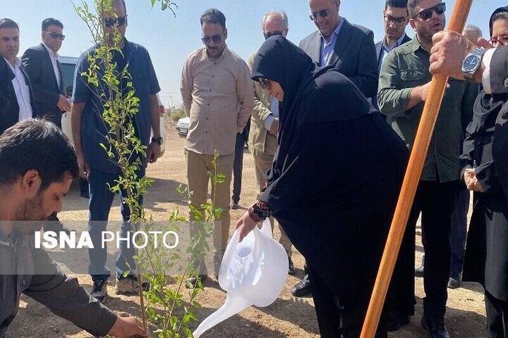 بازدید معاون رئیس‌ جمهور از پارک جنگلی زاهدان