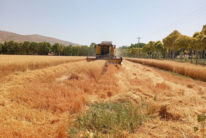 خرید بیش از ۲۱ هزار تن گندم از کشاورزان پاسارگاد