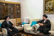 سیدحسن خمینی با سیدهادی خامنه‌ای دیدار کرد