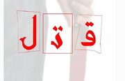 قتل به دلیل عصبانیت از راننده در حال آموزش!