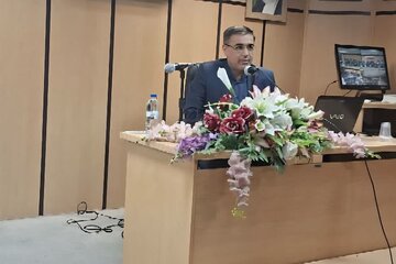 معاون استاندار فارس: احیای روستاها بدون رونق اقتصاد روستایی ممکن نیست