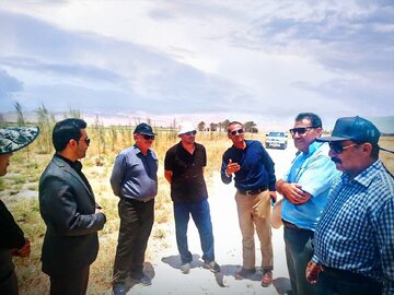 رفع موانع مسیر خط داراب ـ زرین‌دشت برای تقویت پایداری برق شرق فارس