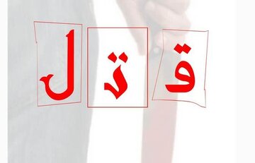قتل به دلیل عصبانیت از راننده در حال آموزش!
