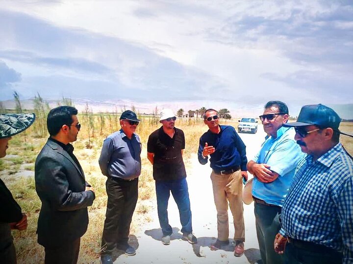 رفع موانع مسیر خط داراب ـ زرین‌دشت برای تقویت پایداری برق شرق فارس