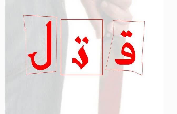 قتل به دلیل عصبانیت از راننده در حال آموزش!