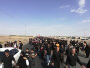 دلدادگان حسینی مسیر خواجه‌عسکر تا امامزاده اسیری بم را پیاده پیمودند