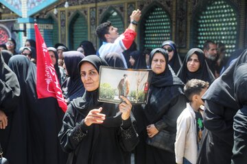 مراسم آیینی پیاده‌روی جاماندگان اربعین حسینی - سوادکوه
