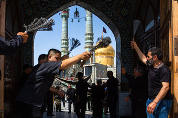 عزاداری اربعین حسینی در حرم حضرت فاطمه معصومه(س)