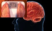 چاقی به دلیل بی‌ارادگی نیست؛ مغز می‌خواهد چاق بمانیم!