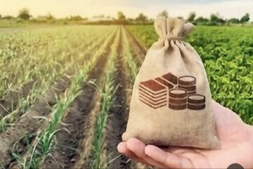 پرداخت بیش از ۴۰۰۰ میلیارد ریال غرامت بیمه به بهره‌برداران کشاورزی خراسان شمالی