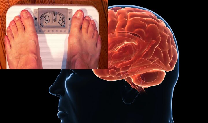 چاقی به دلیل بی‌ارادگی نیست؛ مغز می‌خواهد چاق بمانیم!