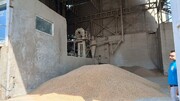 تأمین ذخیره استراتژیک گندم برای ۶ ماه آینده در مازندران