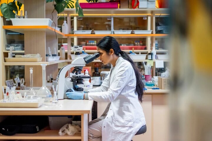 آمریکا مدل «دکتری صنعتی» را آزمایش می‌کند