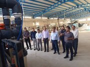 معاون استاندار بوشهر: موانع پیش‌روی سرمایه‌گذاران استان برطرف شود