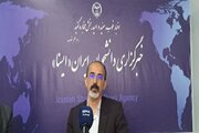 غذا دادن به سگ‌های ولگرد هیچ توجیهی ندارد