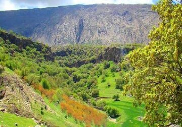 توسعه باغداری در ملکشاهی؛ اشتغال‌زایی در دامنه کبیرکوه