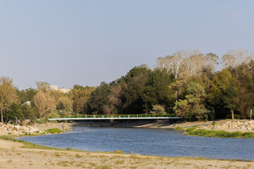 خزان در تابستان!