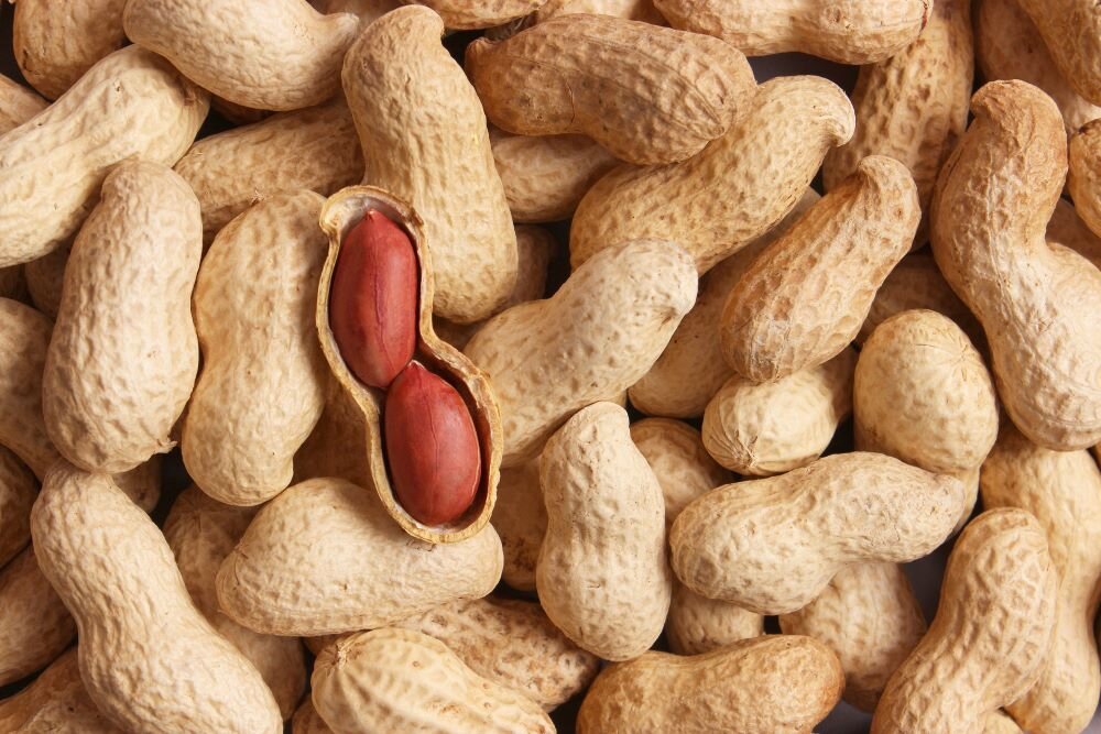 درمانی عجیب برای حساسیت غذایی با نتیجه شگفتآور