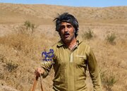 «زیرخاکی ۵» وارد مرحله پیش‌تولید شد