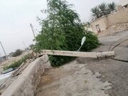 خسارت ۹۷۰ میلیارد ریالی طوفان «چهل پسین» به شبکه برق فارس