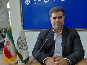 ۹۸ درصد تاکستان‌های اسدآباد سنتی است/ ثبت نشان جغرافیایی موسیر روستای گردشگری حبشی