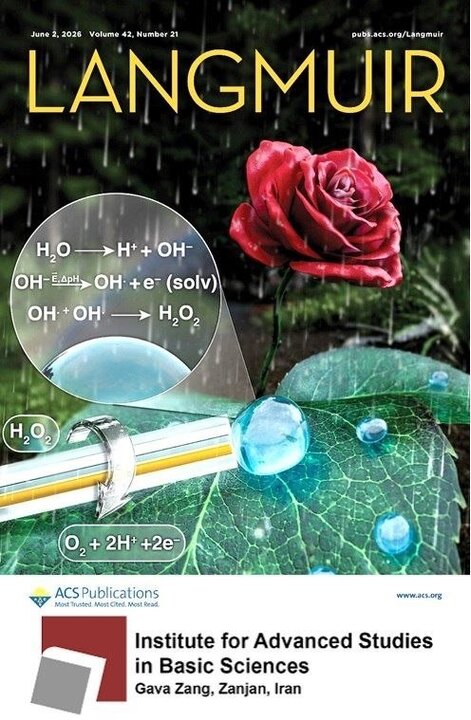 اختصاص طرح روی جلد مجله «Langmuir» به پژوهش عضو هیات علمی دانشگاه تحصیلات تکمیلی زنجان