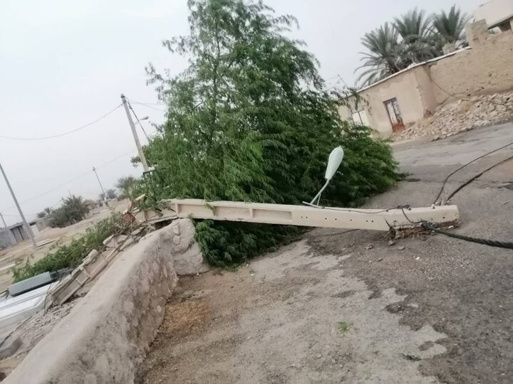 خسارت ۹۷۰ میلیارد ریالی طوفان «چهل پسین» به شبکه برق فارس