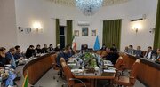 صالحی: نهادهای ارفاقی به مجرمان خطرناک و حرفه‌ای تعلق نمی‌گیرد