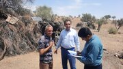 مدیرکل امور عشایر فارس: تعارض عشایر و محیط‌زیست با اجرای طرح‌های مرتعداری کاهش می‌یابد