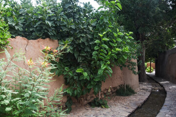یکی از عناصر اصلی شکل‌گیری این محور گردشگری، جریان آب است که سبب ایجاد یک فضای مفرح برای خانواده‌ها و گردشگران شده است،