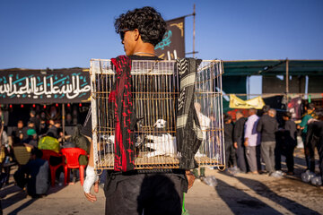 زائران پیاده حرم امام رضا (ع)