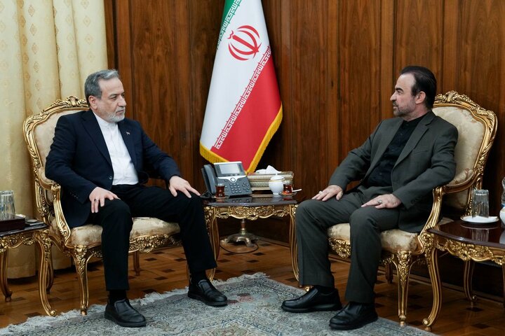 دیدار نماینده دائم ایران نزد سازمان‌های بین‌المللی در وین با عراقچی