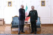 وزیر کشور پاکستان با دبیر شورای عالی امنیت ملی دیدار کرد
