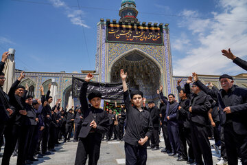 عزاداری ۲۸ صفر در حرم مطهر رضوی