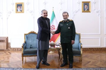وزیر کشور پاکستان با دبیر شورای عالی امنیت ملی دیدار کرد