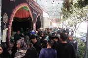 خدمت‌رسانی ثاراللهیان کرمان به زائران امام رئوف در مشهد مقدس+ عکس
