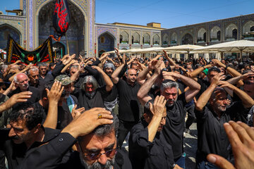 عزاداری شهادت امام رضا ( ع ) در حرم مطهر رضوی