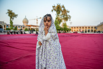 لاله گردانی بمناسبت شهادت امام رضا (ع) در حرم شاهچراغ(ع) -شیراز