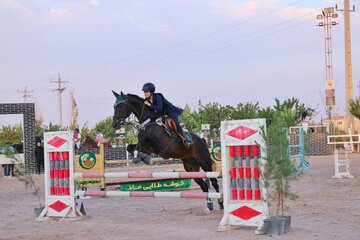 مسابقات پرس با اسب در همدان
