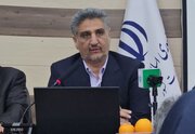 زراعت چوب بدون کارشناسی، اراضی مرغوب و امنیت غذایی را تهدید می‌کند