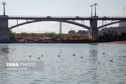 هیچکدام از پل‌های اهواز در خطر آبگرفتگی نیستند/ کاهش زمان آبگرفتگی خیابان‌ها 